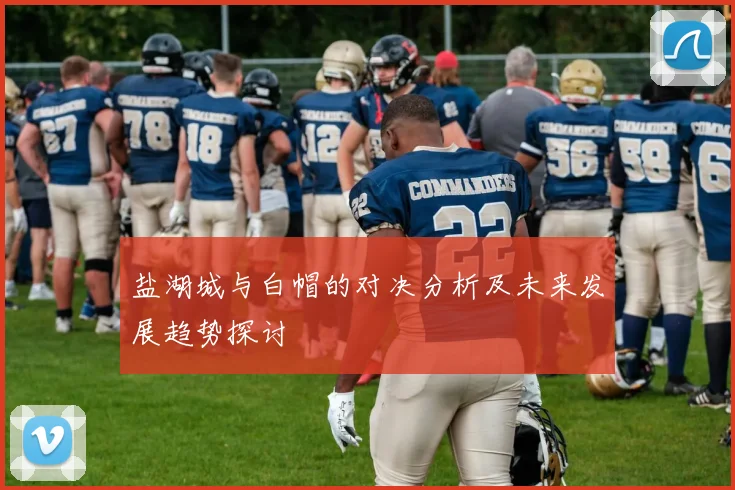 盐湖城与白帽的对决分析及未来发展趋势探讨
