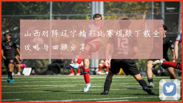 山西对阵辽宁精彩比赛视频下载全攻略与回顾分享