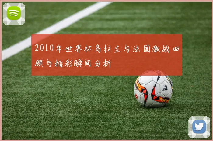 2010年世界杯乌拉圭与法国激战回顾与精彩瞬间分析