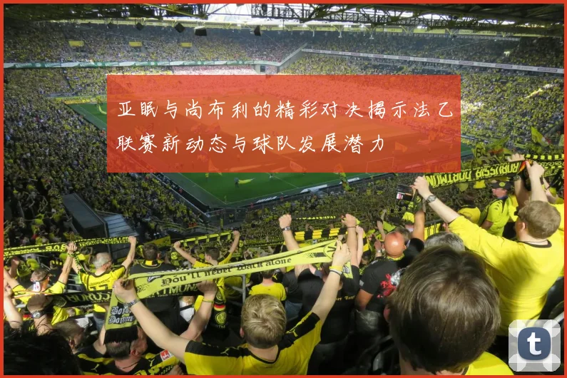 亚眠与尚布利的精彩对决揭示法乙联赛新动态与球队发展潜力